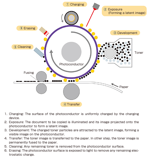 xerographic_process