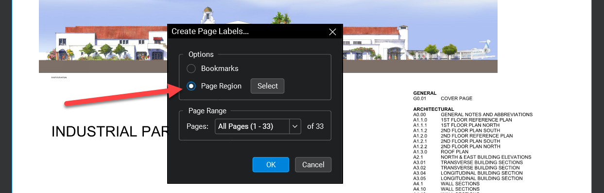 Create page labes in Bluebeam - Page Region
